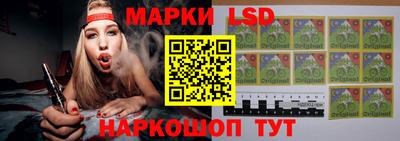 индика Сланцы