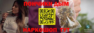 индика Сланцы