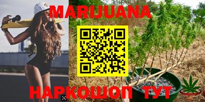 индика Сланцы