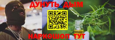 индика Сланцы