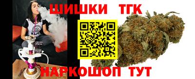индика Сланцы