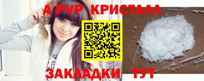 индика Сланцы