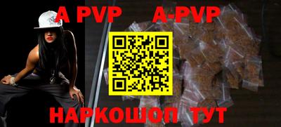 индика Сланцы