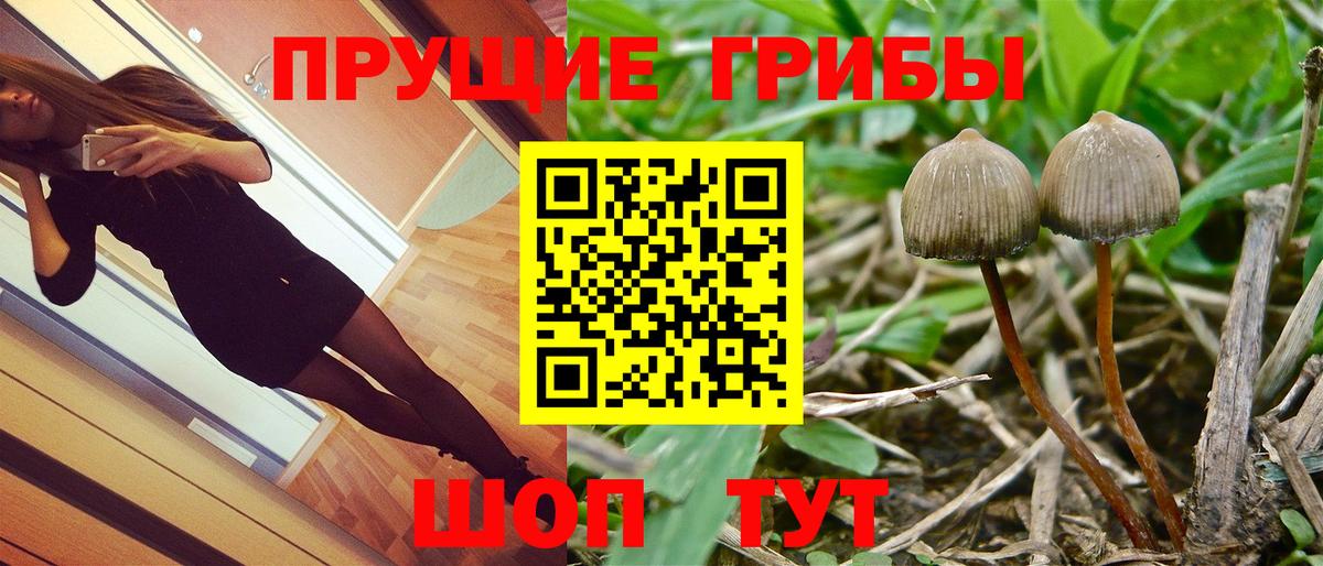 Галлюциногенные грибы мухоморы  Вход с VPN  Белгород 